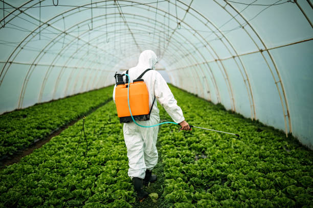 Pest Control for Restaurants in Atlanta, TX