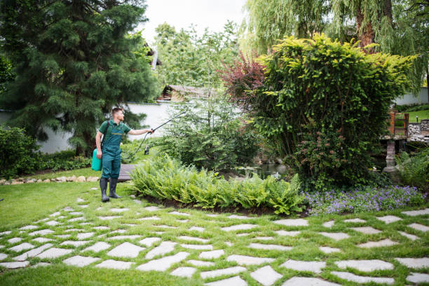 Best Local Pest Control Services  in Atlanta, TX