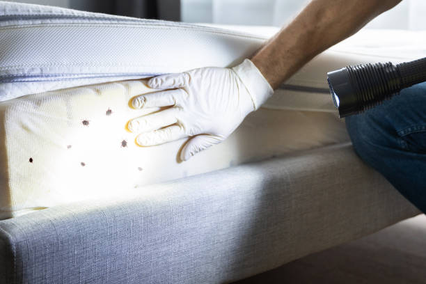 Best Pest Control for Restaurants  in Atlanta, TX