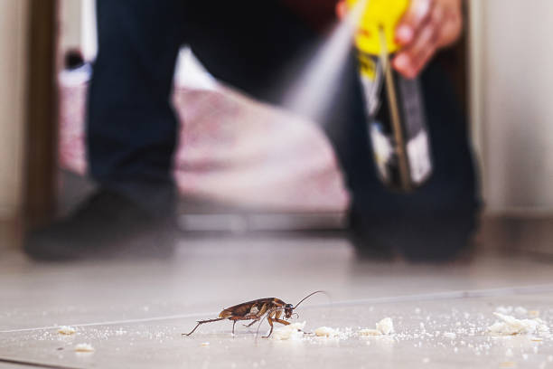 Best Affordable Pest Control Services  in Atlanta, TX