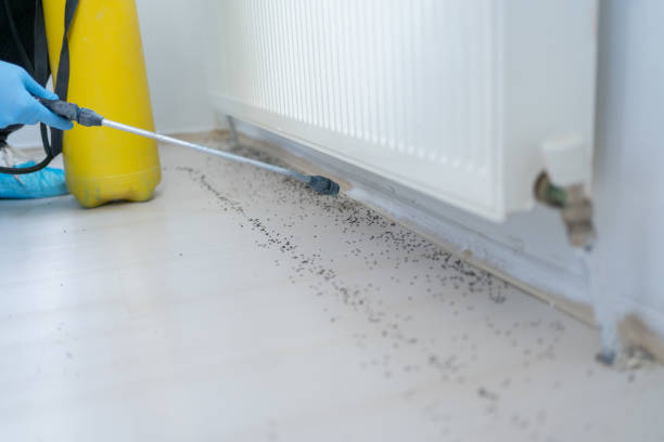 Best Termite Control Services  in Atlanta, TX